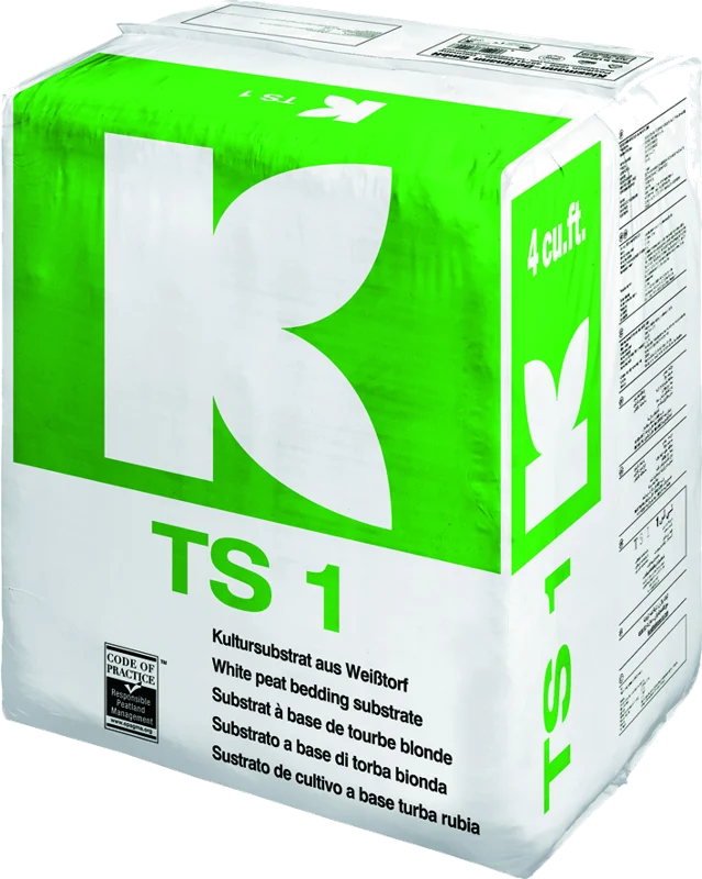 TS 1