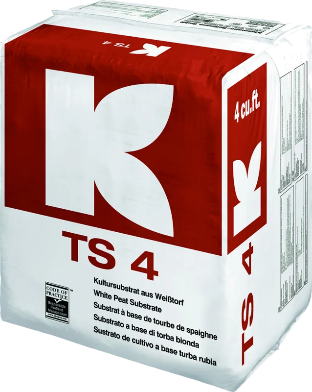 TS 4